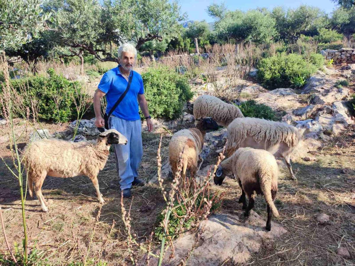 شقة Trisilio كارداميلي المظهر الخارجي الصورة